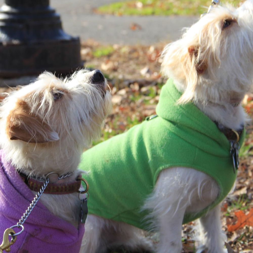 Meet your Posher, Linsey